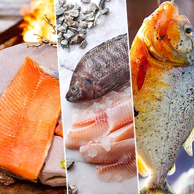 Día del Pescador: los mejores lugares en el Perú para un emocionante día de pesca